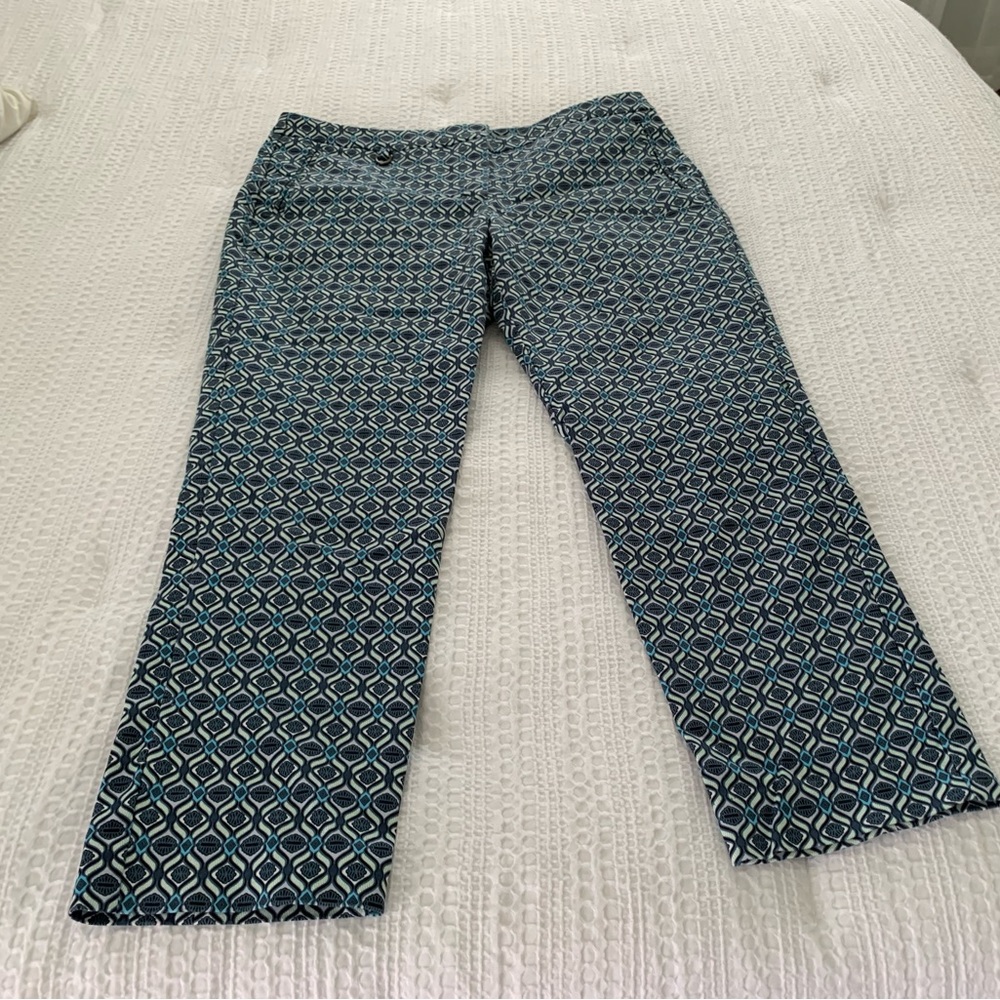 Adrianna Pappel ankle pants in EUC not worn enough to keep.